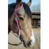 Pink Leather Headstall and Breast Collar Set