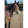 Pink Leather Headstall and Breast Collar Set