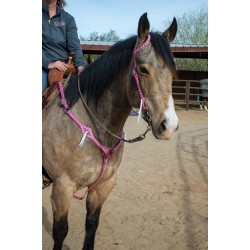 Pink Leather Headstall and Breast Collar Set