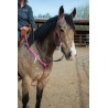 Pink Leather Headstall and Breast Collar Set