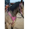 Pink Boot Stitch Headstall and Breast Collar Set