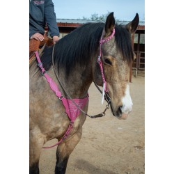 Pink Boot Stitch Headstall and Breast Collar Set