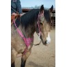 Pink Boot Stitch Headstall and Breast Collar Set