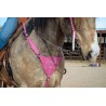 Pink Boot Stitch Headstall and Breast Collar Set