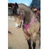 Pink Boot Stitch Headstall and Breast Collar Set