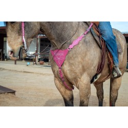 Pink Boot Stitch Headstall and Breast Collar Set