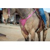 Pink Boot Stitch Headstall and Breast Collar Set