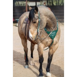 Green Boot Stitch Headstall and Breast Collar Set