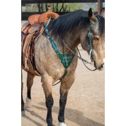 Green Boot Stitch Headstall...