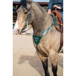 Green Boot Stitch Headstall and Breast Collar Set