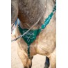 Green Boot Stitch Headstall and Breast Collar Set