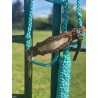 Braided Rope Halter - Cow Puncher Teal