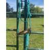 Braided Rope Halter - Cow Puncher Teal