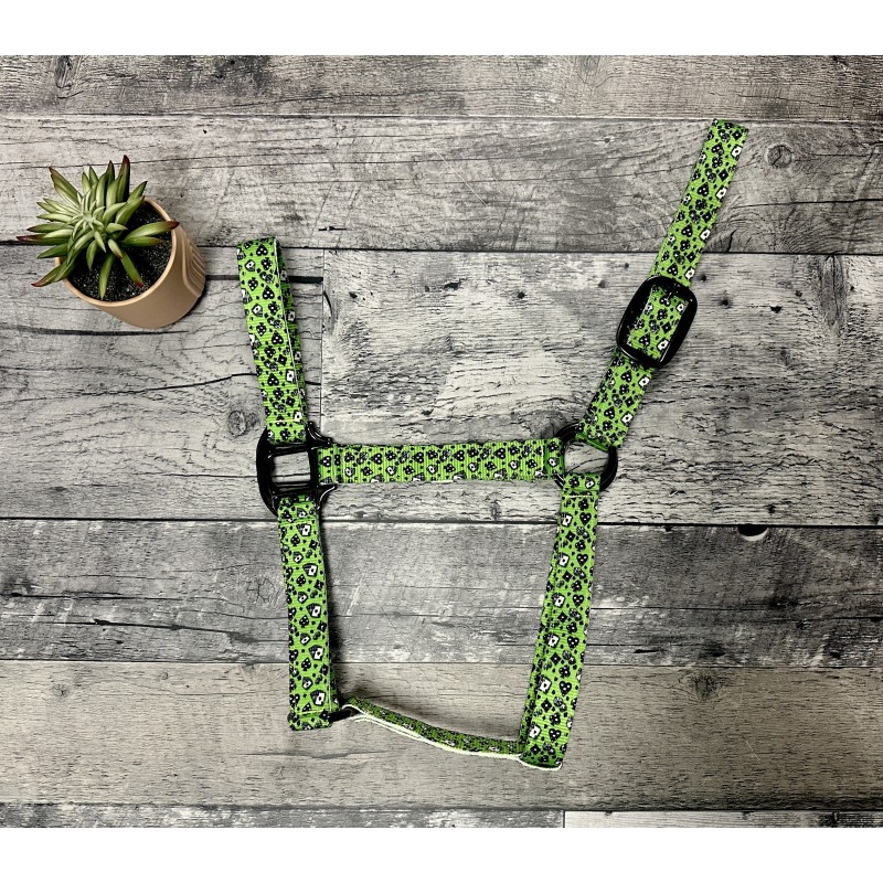 Schulz Equine Nylon Halter House of Cards