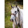 Braided Rope Halter - Aztec
