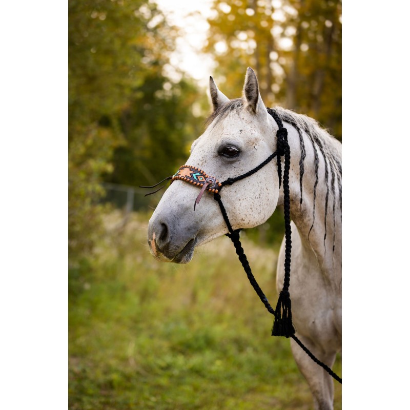 Braided Rope Halter - Aztec
