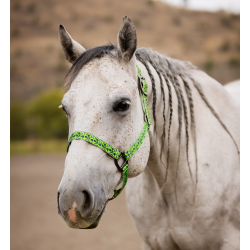 Schulz Equine Nylon Halter...
