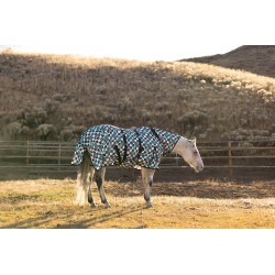 Turquoise Glass Fly Sheet