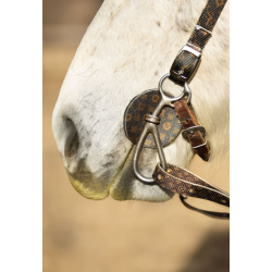 Bit Guard: SE Designer