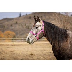 Schulz Equine Nylon Halter Jackpot