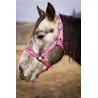 Schulz Equine Nylon Halter Jackpot
