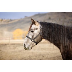 Schulz Equine Nylon Halter...