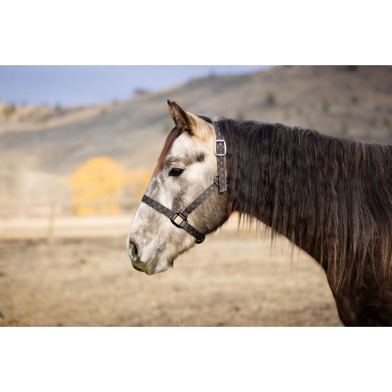 Schulz Equine Nylon Halter SE Designer