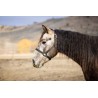 Schulz Equine Nylon Halter SE Designer