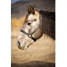 Schulz Equine Nylon Halter SE Designer