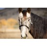Schulz Equine Nylon Halter SE Designer