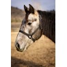 Schulz Equine Nylon Halter SE Designer