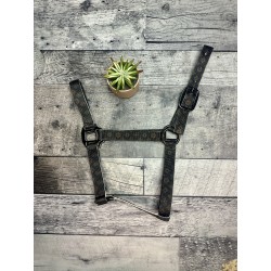 Schulz Equine Nylon Halter SE Designer
