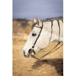 Schulz Equine One Ear Headstall SE Designer