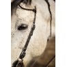 Schulz Equine One Ear Headstall SE Designer
